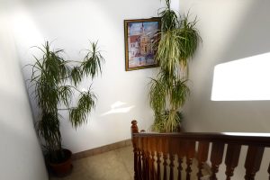Esterno La Casa Sul Fiume Guarda Veneta Rovigo 01