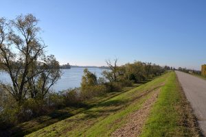 Paesaggio La Casa Sul Fiume Guarda Veneta Rovigo 02