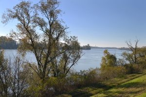 Paesaggio La Casa Sul Fiume Guarda Veneta Rovigo 03