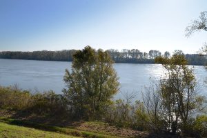 Paesaggio La Casa Sul Fiume Guarda Veneta Rovigo 04