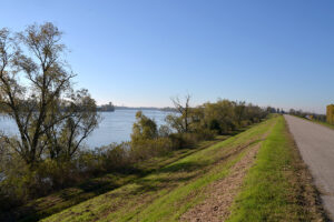 Paesaggio La Casa Sul Fiume Guarda Veneta Rovigo 02