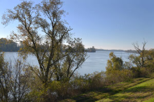 Paesaggio La Casa Sul Fiume Guarda Veneta Rovigo 03